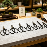 Kit d'outils professionnels pour bonsaï Smiletools/OEM avec cisailles de taille manuelles, modèle ST-FS001, pour l'entretien des plantes d'intérieur/extérieur - Noir