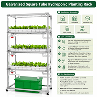 Système hydroponique NFT en aluminium pour herbes aromatiques avec roues, système hydroponique NFT à 3 niveaux pour épinards avec pompe, support NFT