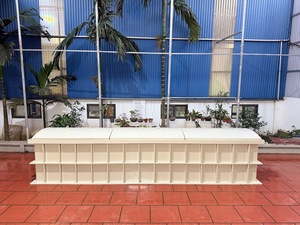 Tanques de presión rectangulares de plástico PE y HDPE, y tanques de PP (polipropileno) de diseño personalizado para productos químicos, agua, aceite y combustible, procedentes de Vietnam. - Product Image 2