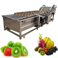 Automatische fruit- en groentewasmachine, reinigings- en verwerkingslijn voor bladgroenten, raap en spinazie