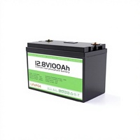 Batterie au lithium rechargeable LiFePO4 LongKun 12V 12.8V 100Ah à décharge profonde pour camping-car, solaire, marine, moteur de pêche à la traîne, stockage d'énergie, OEM