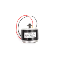 Moteur miniature MY1025 pour moto, scooter électrique, petit moteur de surf 24V 250W 2750 tr/min