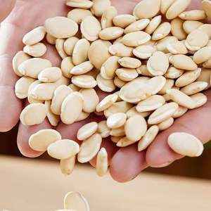 ถั่วขาวไบเปียนตั้ว คุณภาพสูง ขายดี ถั่วไฮยาซินธ์ขาวอบแห้งธรรมชาติ สำหรับการทำอาหารเพื่อสุขภาพและโภชนาการ - Product Image 2