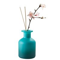 Bouteille diffuseur vide en verre 150 ml/5 oz, pot d'aromathérapie, accessoires de parfum, pour huiles essentielles, remplacement de diffuseurs à bâtonnets
