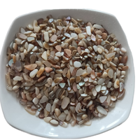 Vente en gros de copeaux de coquillages naturels recyclés de 3-5 mm, pierres de nacre, écologiques, non toxiques, matériau de pavage pour les parcs