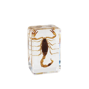 Artesanía de Resina Hecha a Mano, Escorpión Realista en Resina, Taxidermia de Insectos, Escultura de Graduación, Pisapapeles - Product Image 5