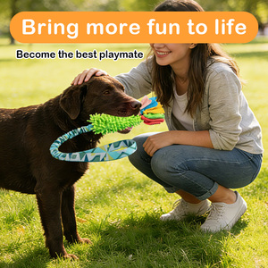 Giocattolo Interattivo Ecologico e Durevole per Cani con <span class=keywords><strong>Squeaker</strong></span> BB, in Poliestere e Ciniglia, per Pulizia dei Denti e Masticazione - Product Image 5
