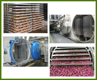 Lyophilisateur CE industriel lait café en poudre herbes fraises conservation viande lyophilisation lyophilisateur fruits sous vide