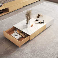 Table basse en dalle de granit avec design de couleur assortie, sans peinture, meuble TV rectangulaire de style rustique moderne