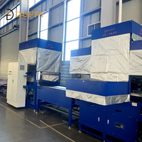 Sistema DWS Automático Duffy para Clasificación, Pesaje y Escaneo de Paquetes en Almacenes Logísticos para Plantas de Manufactura