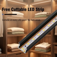Lampe d'armoire mini à induction sans découpe, profilé en aluminium avec doublure, abat-jour supérieur en plastique, 12V/24V, intensité variable