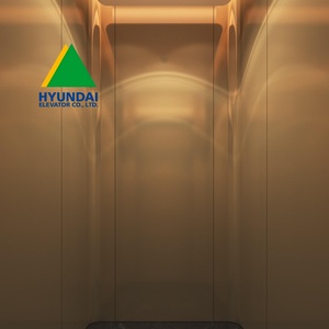 Ascensor de Pasajeros Hyundai para 13 Personas / Ascensor de Pasajeros Alemán / Ascensor de Pasajeros Económico Blt 1000 Kg - Product Image 1