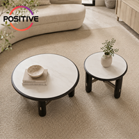Ensemble de tables basses rondes modernes avec plateau en pierre frittée et base en acier inoxydable pour salon, petits espaces, hôtels, vente en gros, OEM, ODM