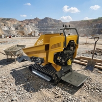 Hochwertiger Selbstladender Raupenkipper mit Hydraulikpumpe Benzinmotor 1 Jahr Garantie
