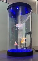 Cylindre HoloTube Holographique 3D Affichage Plug Play Mini Hologramme Portable Vitrine Transparente Hologrammes Interactifs 3D Holobox