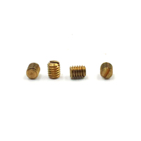 Vis sans tête DIN916 en laiton M1.6 M2 M2.5 M3 M4 M5 M6 M8, vis sans tête hexagonale en acier inoxydable