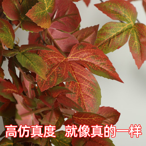 ใบเมเปิ้ลแขวนผนัง ใบไม้ประดิษฐ์ตกแต่งบ้าน ดีไซน์ทันสมัย บรรจุภัณฑ์ชิ้นเดียว - Product Image 5