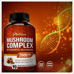 Complexe de champignons premium 2600 mg, 10 champignons puissants, crinière de lion, shiitake, queue de dinde, 90 capsules végétales, non-OGM, végétalien, GMP - Product Image 5