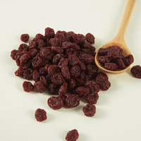 Cranberries séchées simulées, raisins secs simulés, mûres et framboises, jouets de simulation pour accessoires alimentaires de jeu d'imitation