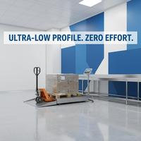 Báscula de plataforma electrónica de acero inoxidable de Beijing Langke, la más vendida, báscula industrial de plataforma baja con rampa, personalizable OEM