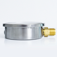 Manomètre radial en acier inoxydable pour la mesure de la pression des liquides et hydraulique