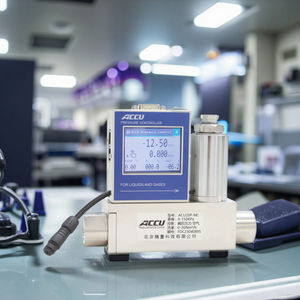 Buena venta controlador de presión ajustable manómetro 1:100 medidor de flujo másico precio - Product Image 2