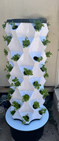 2025 nouvelle tendance soins sains intérieur NFT systèmes de culture hydroponique maison verticale jardin tour planteur avec lumière LED