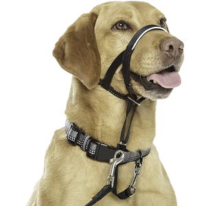 مخصص فاخر المصممين الياقات الحيوانات الأليفة مع حلقة الأنف للكلاب لوازم النايلون الحيوانات الأليفة شخصية طوق الرأس لا سحب الكلب كمامة - Product Image 4