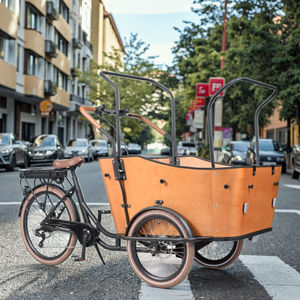 Housse de pluie EVA pour tricycle enfant, vélo cargo - BODO LUXMEA RC-001 - Product Image 6