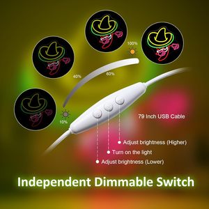 Luces de Neón Mexicanas Cinco de <span class=keywords><strong>Mayo</strong></span>, Decoración de Pared LED Vintage para Bares, Fiestas, Letreros de Neón Personalizables con Alimentación USB - Product Image 5