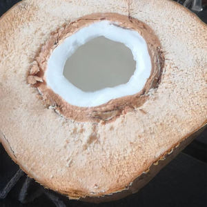 Automatische halb schneidende grün braune Kokosnuss schneide maschine - Product Image 6