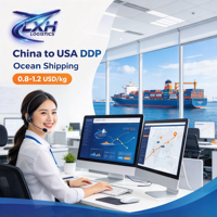 Agent logistique maritime DDP LXH USA pour Amazon FBA avec étiquetage des envois