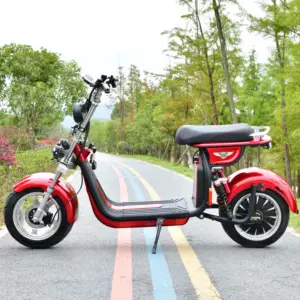 2023 yeni tasarım yüksek güç elektrikli Scooter 120Kmh 800 Watt 1500Watt ile Eec Coc