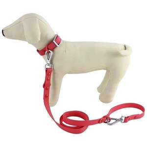 Ensemble collier et laisse pour chien en PVC, couleur unie, confortable, toutes saisons, style simple - Product Image 1