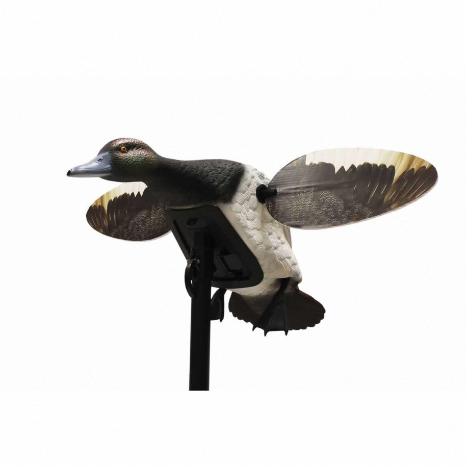 Elite Bluebill