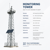 Torre de Vigilancia de Acero Galvanizado de Grado Industrial para Seguridad en Campos de Petróleo y Gas y Protección Remota de Sitios