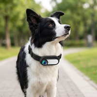Caméra de collier pour animaux de compagnie pour chats et chiens, mini enregistreur vidéo portable en silicone avec modèle Majohn T5 pour la surveillance des animaux