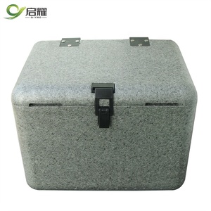 Customized Size EPP Foam VIP Panel Insulated Medical Cooler Box