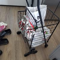 Chariot utilitaire pliable portable à 4 roues avec cadre en fer thermolaqué, capacité de charge de 100 kg, pour les courses, la pêche, le camping