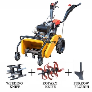 Macchine Agricole per Taglio Erba: <span class=keywords><strong>Trattorino</strong></span> Rasaerba Semovente e Coltivatore per Diserbo - Product Image 2