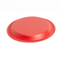 Assiettes de pique-nique personnalisées de qualité alimentaire, vaisselle jetable portable, essentielle pour les repas en plein air et les rassemblements familiaux