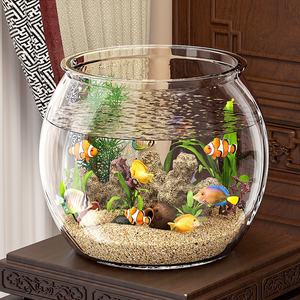 Aquarium de salon écologique pour petits poissons d'eau douce, tortues et poissons rouges, transparent, pour bureau et maison, hydroponique, sélectionné avec soin - Product Image 4