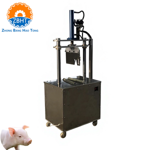 Scie hydraulique automatique pour la découpe <span class=keywords><strong>de</strong></span> têtes <span class=keywords><strong>de</strong></span> porcs – Matériel d'abattage pour l'industrie porcine - Product Image 2