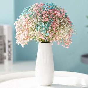 Fleurs <span class=keywords><strong>de</strong></span> Gypsophile Séchées <span class=keywords><strong>en</strong></span> Promotion – Bouquets Naturels et Authentiques pour Mariages et Décoration Intérieure - Product Image 6