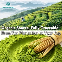 Poudre de thé vert Matcha biologique japonaise de qualité supérieure BCI