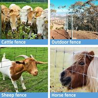 Clôtures carrées perforées en fer galvanisé de haute qualité pour chèvres, pliables et durables, vente en gros en Chine, protection des enclos pour animaux