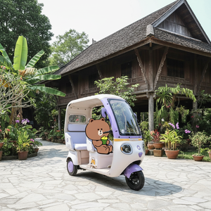 Tricycle électrique de haute qualité 2026 avec batterie au plomb-acide scellée 60V et moteur 650W sur le dessus - Product Image 2
