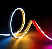 Les bandes lumineuses flexibles étanches Maxtor LED Neon Light conviennent à divers scénarios