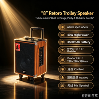 Valise mobile rétro de 8 pouces avec haut-parleurs tweeter de 1 pouce, compatible avec un microphone sans fil