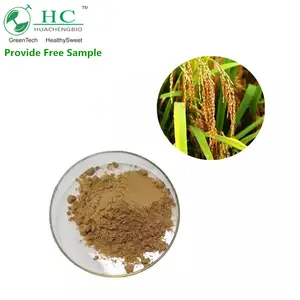 ตัวอย่างฟรีข้าวโปรตีนผง Oryza Sativa จมูกผงข้าวจมูกสารสกัดจากผง